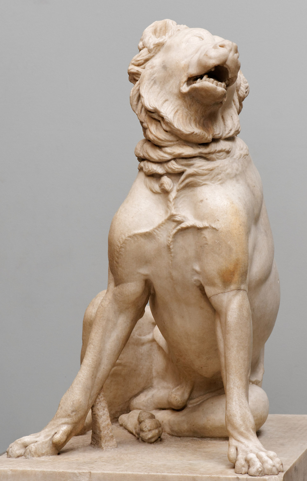 Římská kopie helénského bronzového originálu psa s prvky molossoidního plemene zvaná Jennings Dog